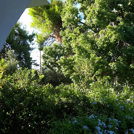 όαση Αμμούδι