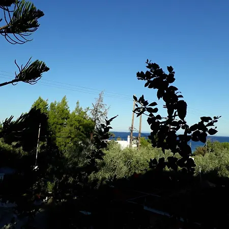 όαση Πανσιόν