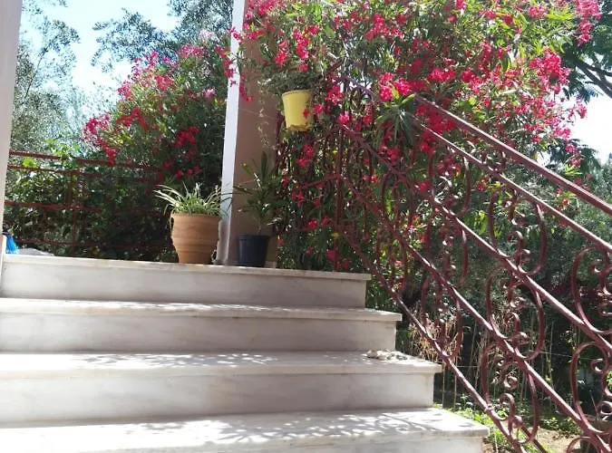 Oasis 3*