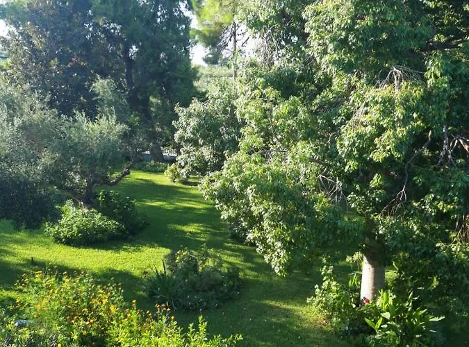 Gæstehus Oasis Amoudi