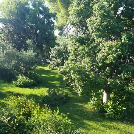 Gasthof Oasis Ammoudi